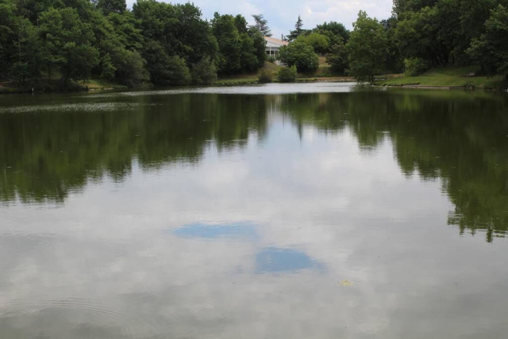 Residence Du Lac-Monflanquin Appartement Rdc Bagian luar foto